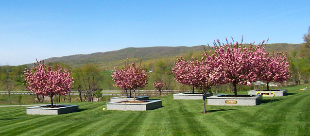 Living Memorial image