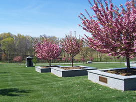 Tree Estates image